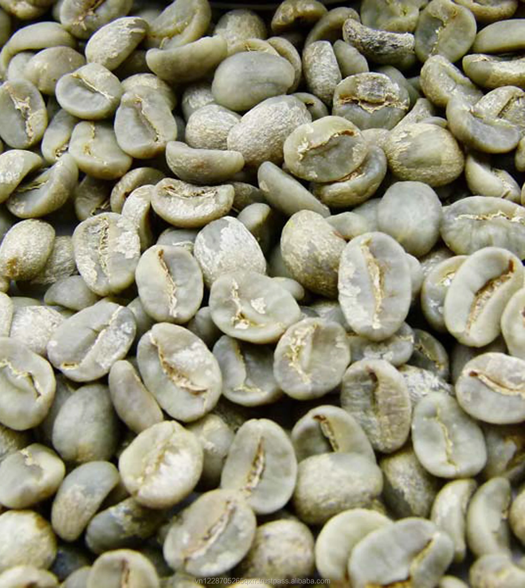 Vietnam Washed Arabica Green Coffee Beans Grade 1. Scr18 Buy Coffee