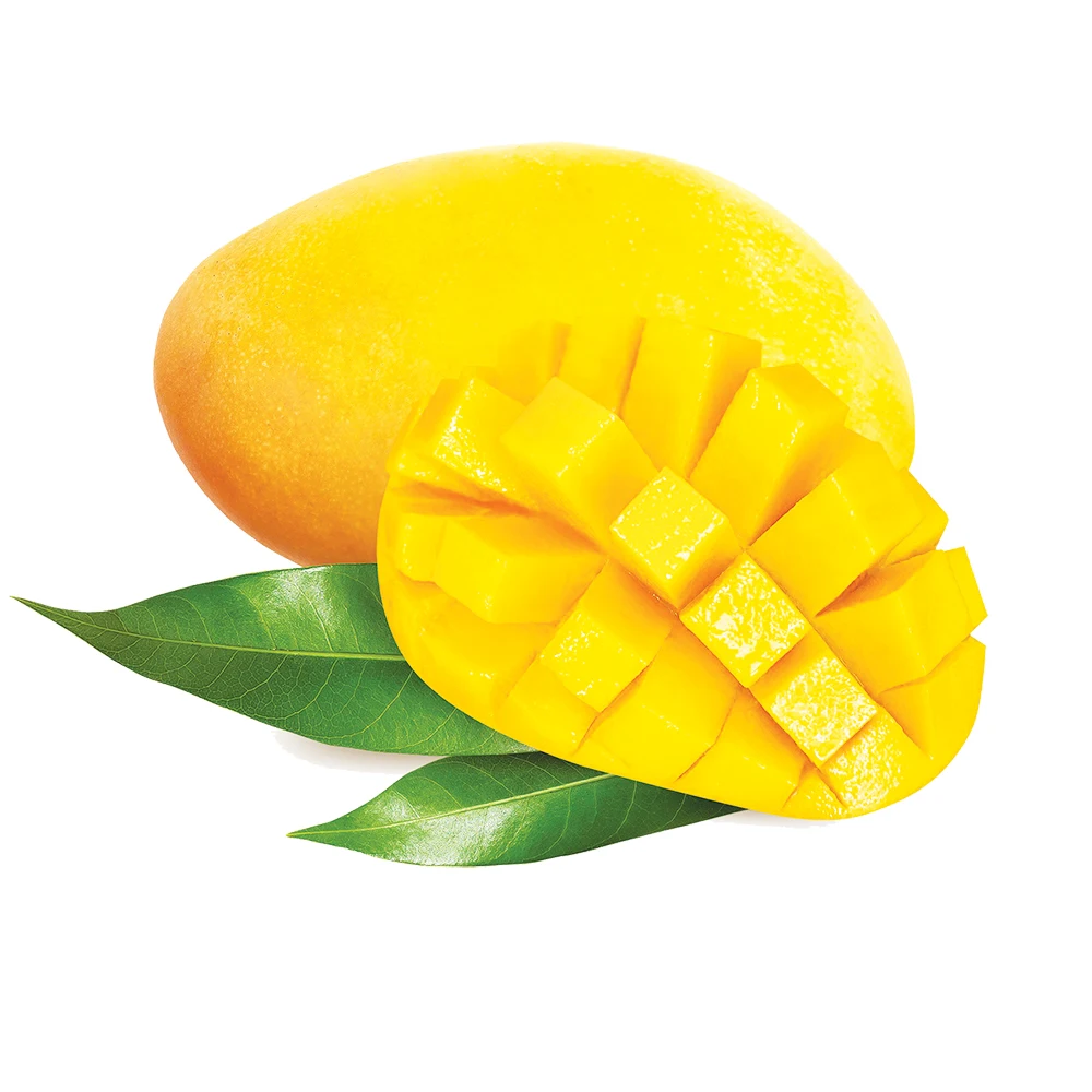 Can Packing Tropical Mango Juice High Quality Product With Competitive