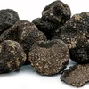 /product-detail/wild-truffles-mushrooms-price-sell-south-african-black-truffles-62011743754.html