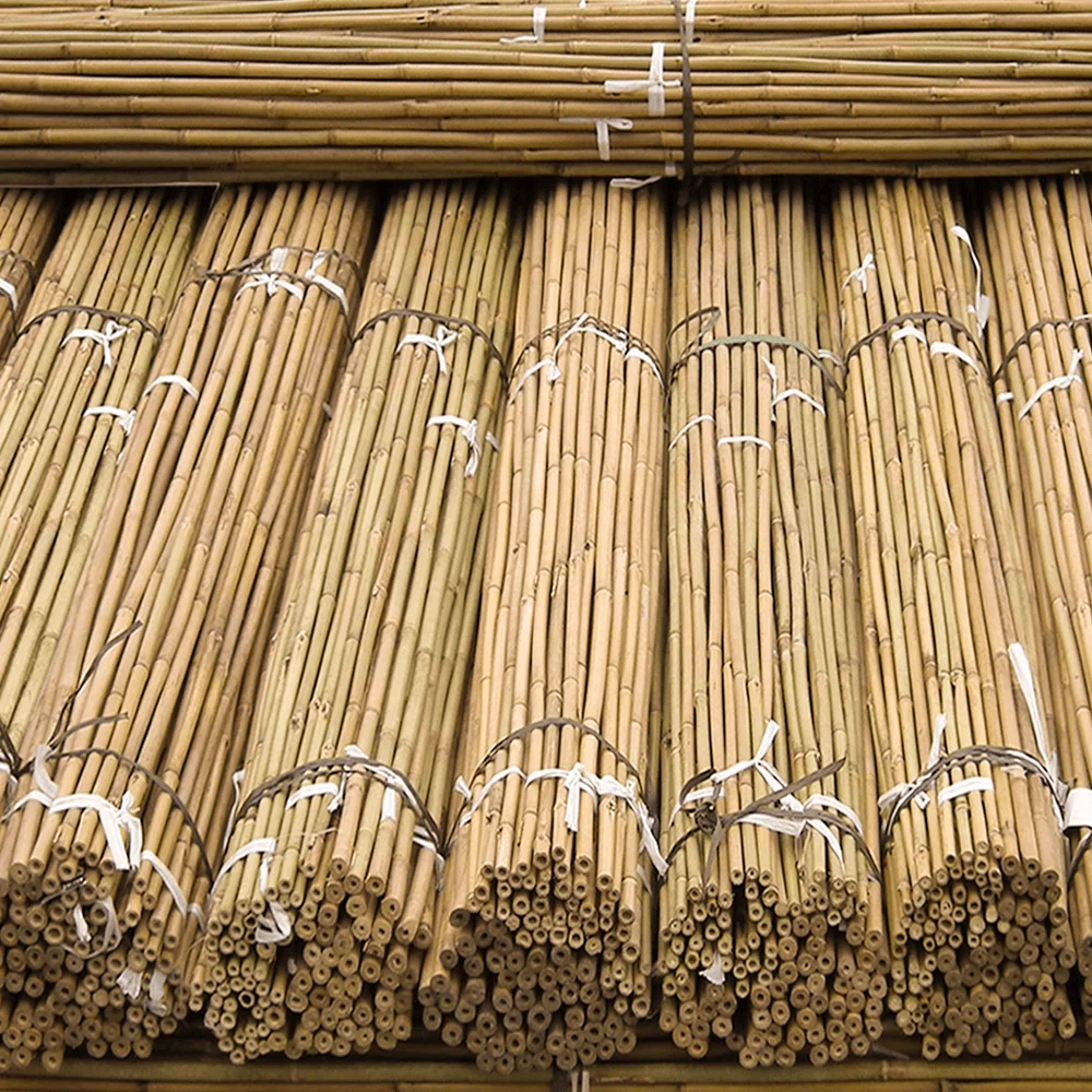 Natural Bamboo Pole / Large Bamboo Pole / Bamboo Canes For