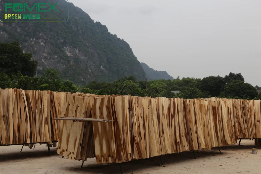 4x8 Eucalytus And Acacia Wood Veneer,Core Veneer,Face Veneer Birch