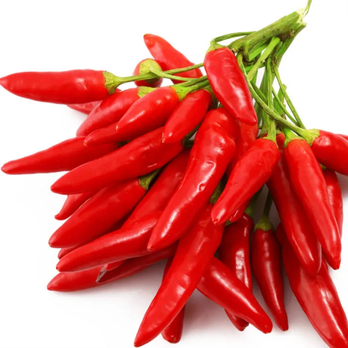 sannam s4 / dry stemless red chilli exporters in india to turkey
