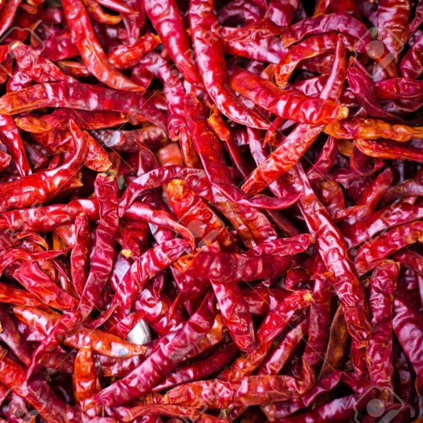 top quality red chilli pepper s17 / wholesale s17 dried red