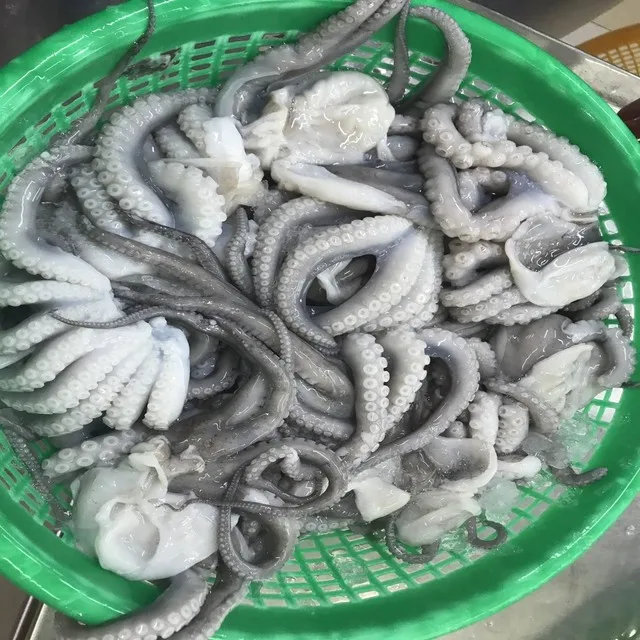 
Frozen Cut Baby Octopus/Baby Octopus in Viet Nam 
