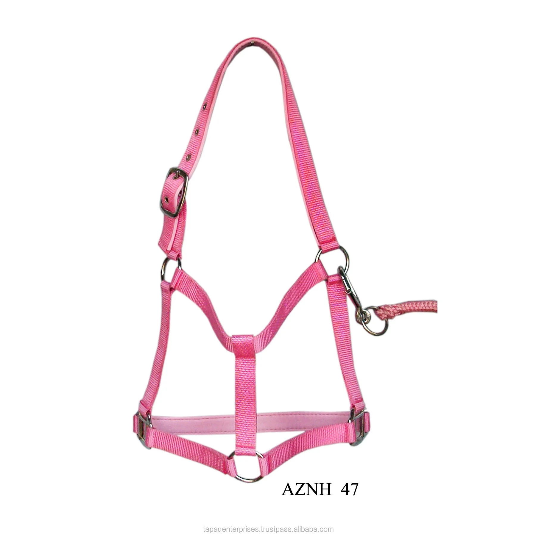AZNH 47.jpg