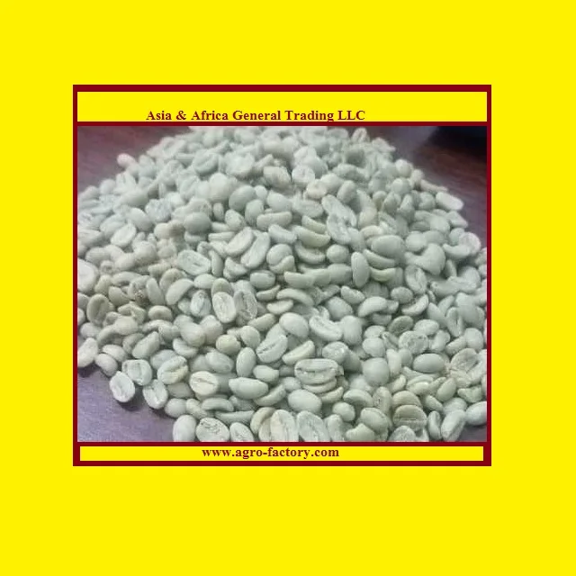 COFFEE BEAN SIDAMO WASHED.jpg
