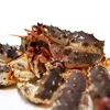 Live and Frozen King Crab for sale, Live/Frozen, RED King Crab, Alaskan King Crabs From UK