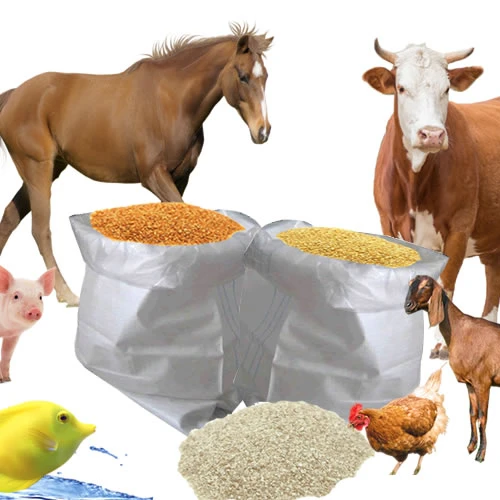 Can You Feed Dogs Rice Bran