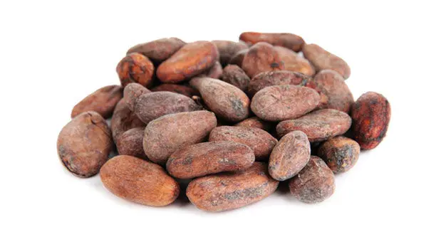 COCOA BEAN 3.jpg