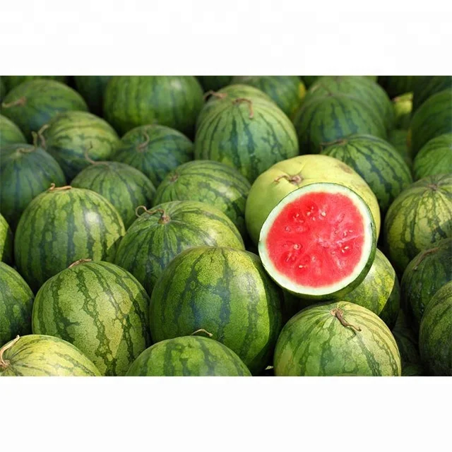 Hybrid F1 Watermelon Seed For Plantinghuawang No.7 Buy Grown
