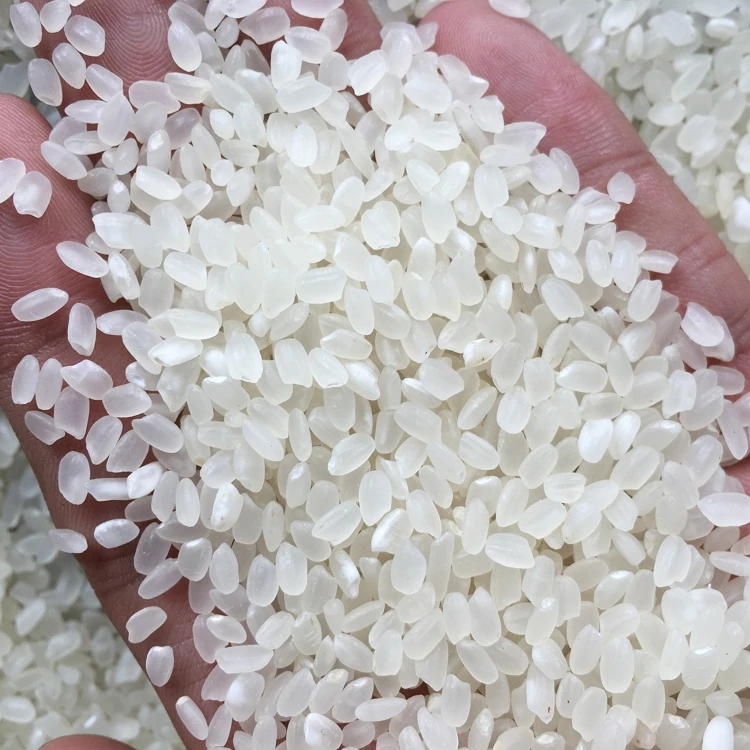 Japonica Rice Best Selling Soft Round Short Grain Japonica Grain Rice
