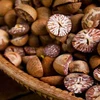 Best Quality Betel Nuts Thailand / BETEL NUT - ARECA NUTS / Quality whole and Split Betel