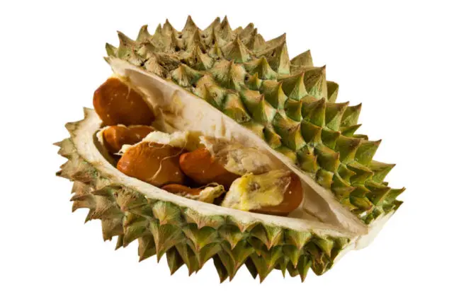 durian 5.jpg