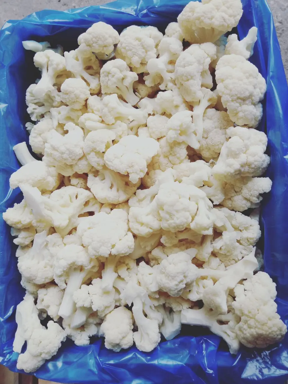 Iqf & Plastified Frozen Cauliflower Round With Good Price,Frozen