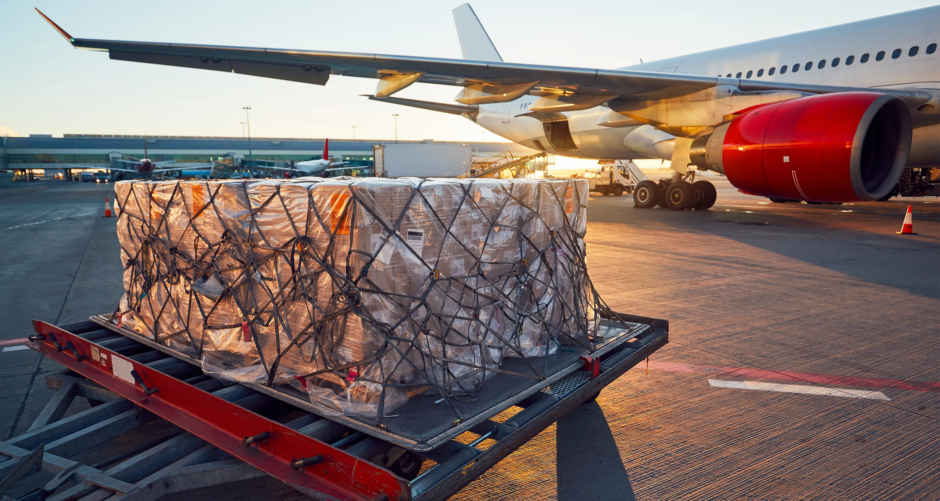 wholesale casual women trousers / fully customizable