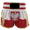 Muay Thai Shorts Red with Golden Muaythai Text and Thai Pattern