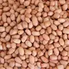 dried peanuts