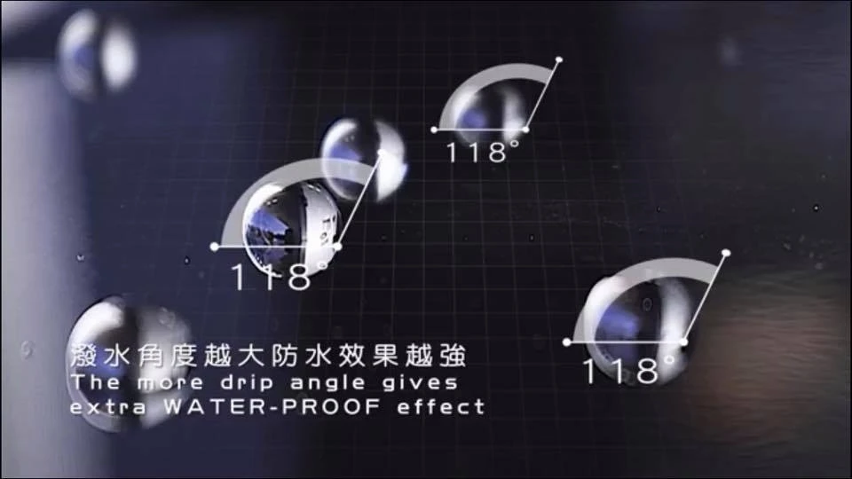 interesting facts.jpg