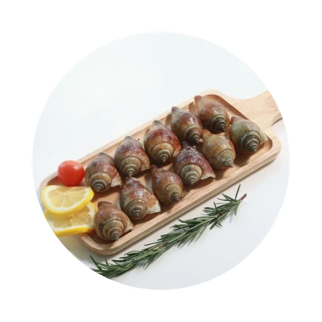 
Best Selling Fresh Clean Live Sungsuwan Small Size Wing Shells Thailand Seafood 