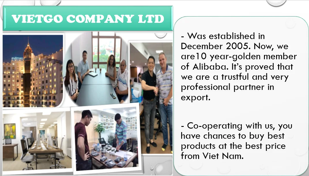 Company introduction.png