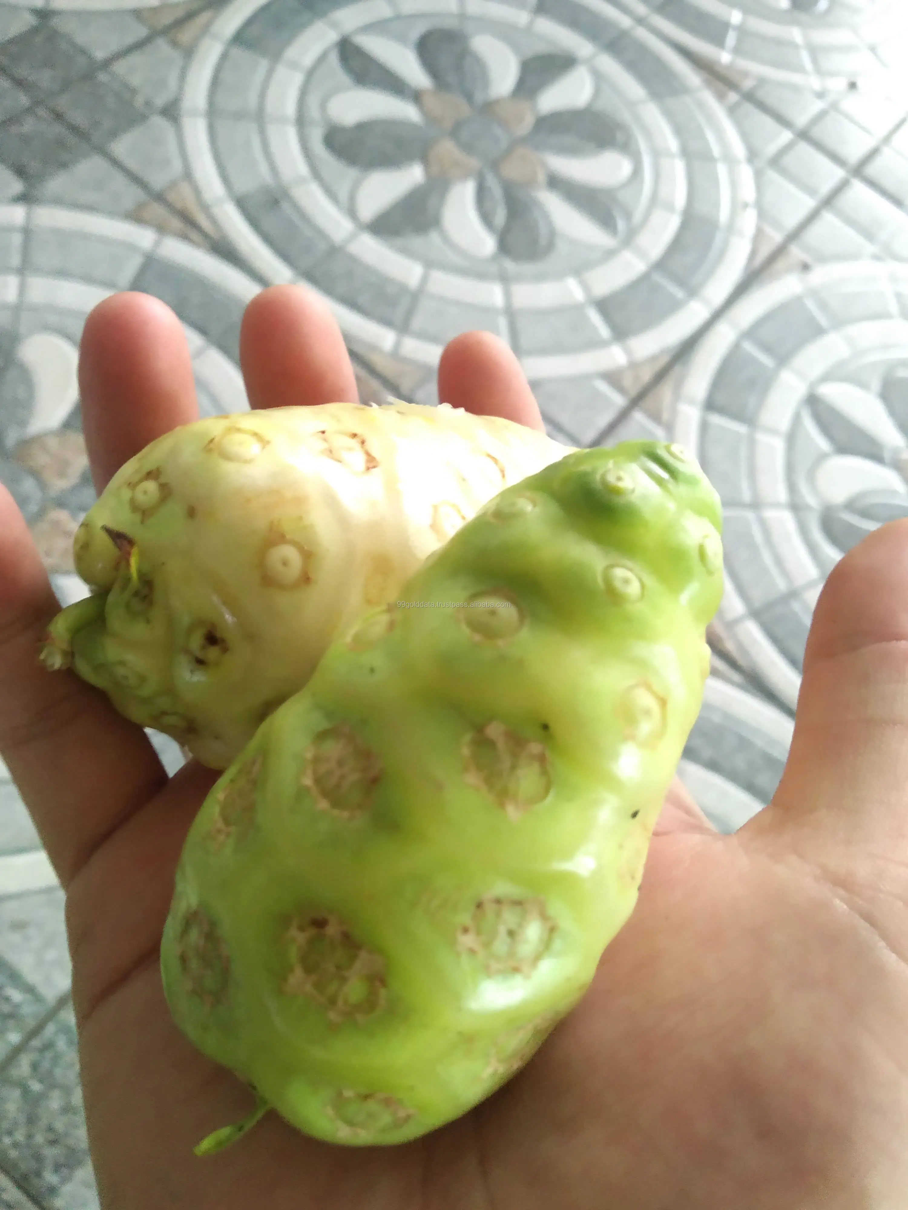 Wholesale Frozen Noni Fruit Dried Noni Fruit At Low Prices Hot Deal