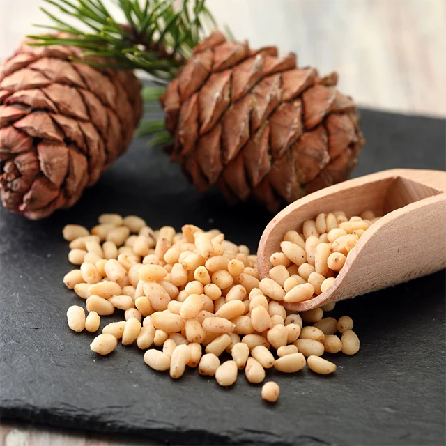 russian wholesale delicious pine nuts kernel price / cedar pine
