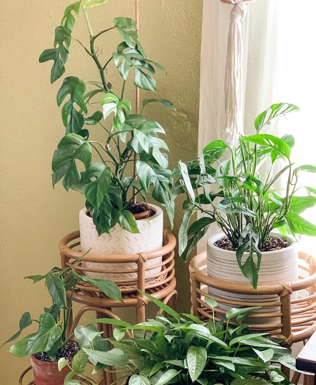 Wicker Stand Planter Pot Unique Rattan Panel Planter Stand Rattan