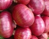 /product-detail/fresh-small-onion-exporter-in-india-to-all-gulf-countries-62016046700.html