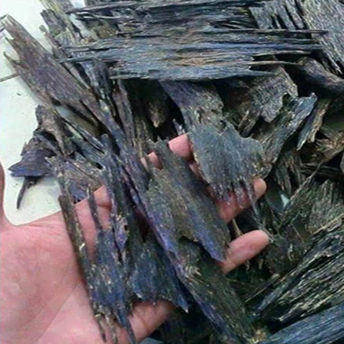 agarwood price in qatar