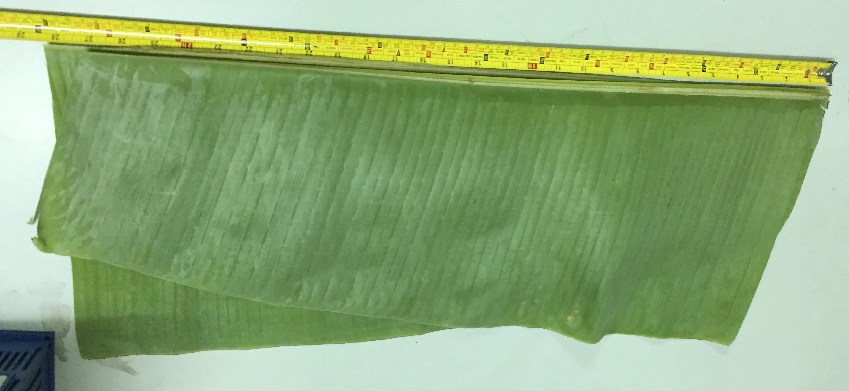 Fresh Banana Leaves For Sale From Vietnam With High Quality And Export