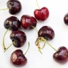 Best quality Fresh Cherries/Fresh Fruit Sweet Cherry /Indian Fresh Cherries/