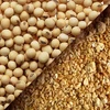 Wholesale price offer - Soybean meal