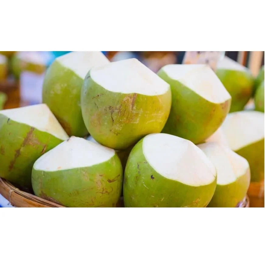 
Fresh Coconuts Fruit from Thailand Drinking for Healthy With Weight 900 to 1.200 g 