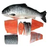 Buy Frozen Chum Salmon Fillet Fish/Certified Frozen Salmon Fish/IQF frozen fish fillet frozen pink salmon