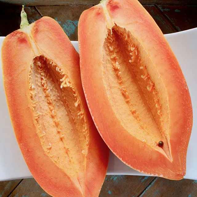 Papaya is an excellent food option for diabetics as it has a lowsugar content even though it is