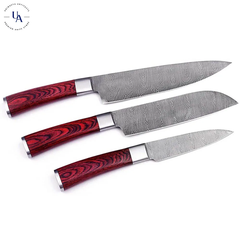 3 Pcs Kitchen Knives Set Japanese Damascus Steel Kitchen Knife Vg10