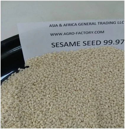 Sesame seed .jpg