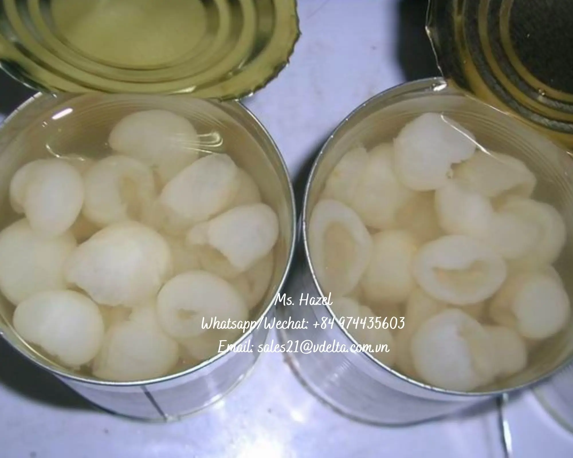 Best Supplier Canned Lychee In Light Syrup For Export Standard/ms