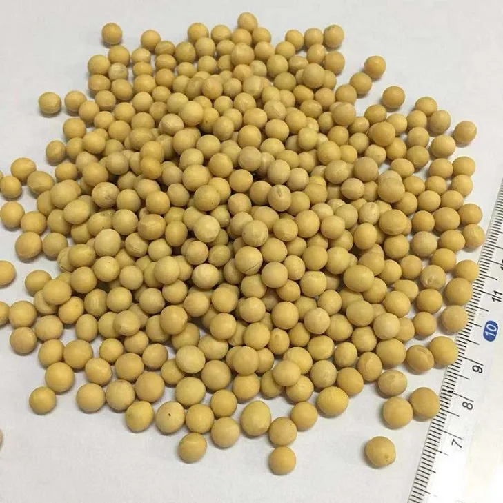 High Quality Non Gmo Yellow Soybeans Soybeans /soya Bean (8.0mm) With