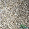 Cashew kernel from Vietnam - High quality - Competitive Price - BB/SP/LP/WS/W320/W240