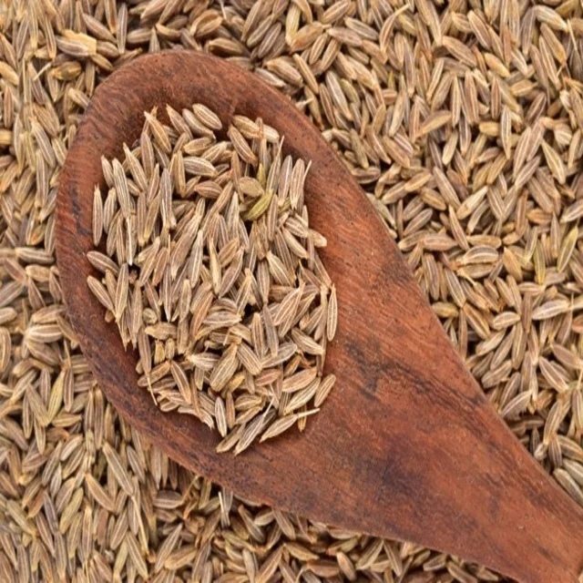 Top Quality Cumin Seeds Zeera White Cumin Buy Cumin Seeds Product