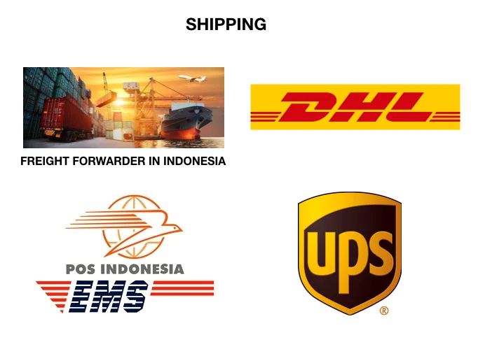 paste-pic-dp_uuid_zxc9j