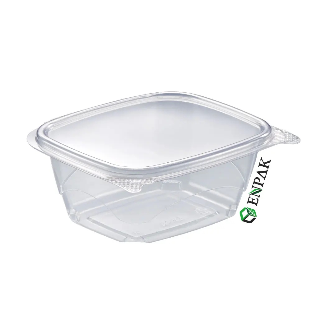 Wholesale Transparent Plastic Disposable Blister Packaging Clamshell Salad Box