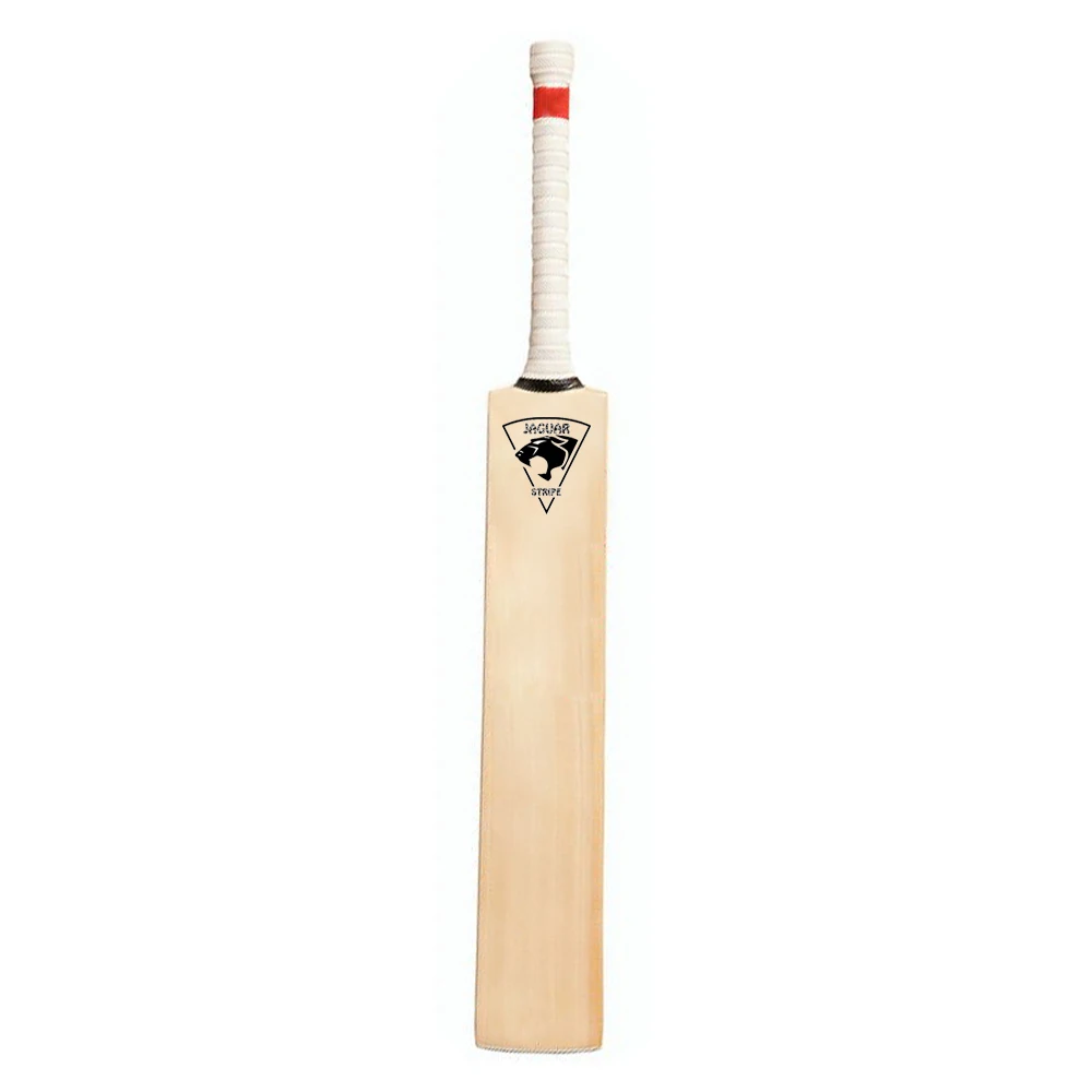 best bats