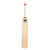 Best Quality Pakistan Official Cricket Bats Good Price Light Weight Made In Original Wolloen Wood
