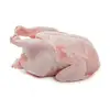 /product-detail/quality-halal-frozen-chicken-halal-brazil-chicken-halal-chicken-frozen-chicken-feet-for-sale-62012521185.html