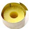Pineapple Canned Cheap Price - Slice Pineapple Light Syrup