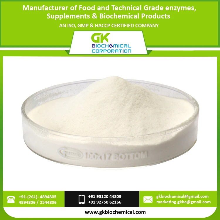 Best Price Nutraceutical Enzymes Lipase Enzyme Powder Buy Lipase