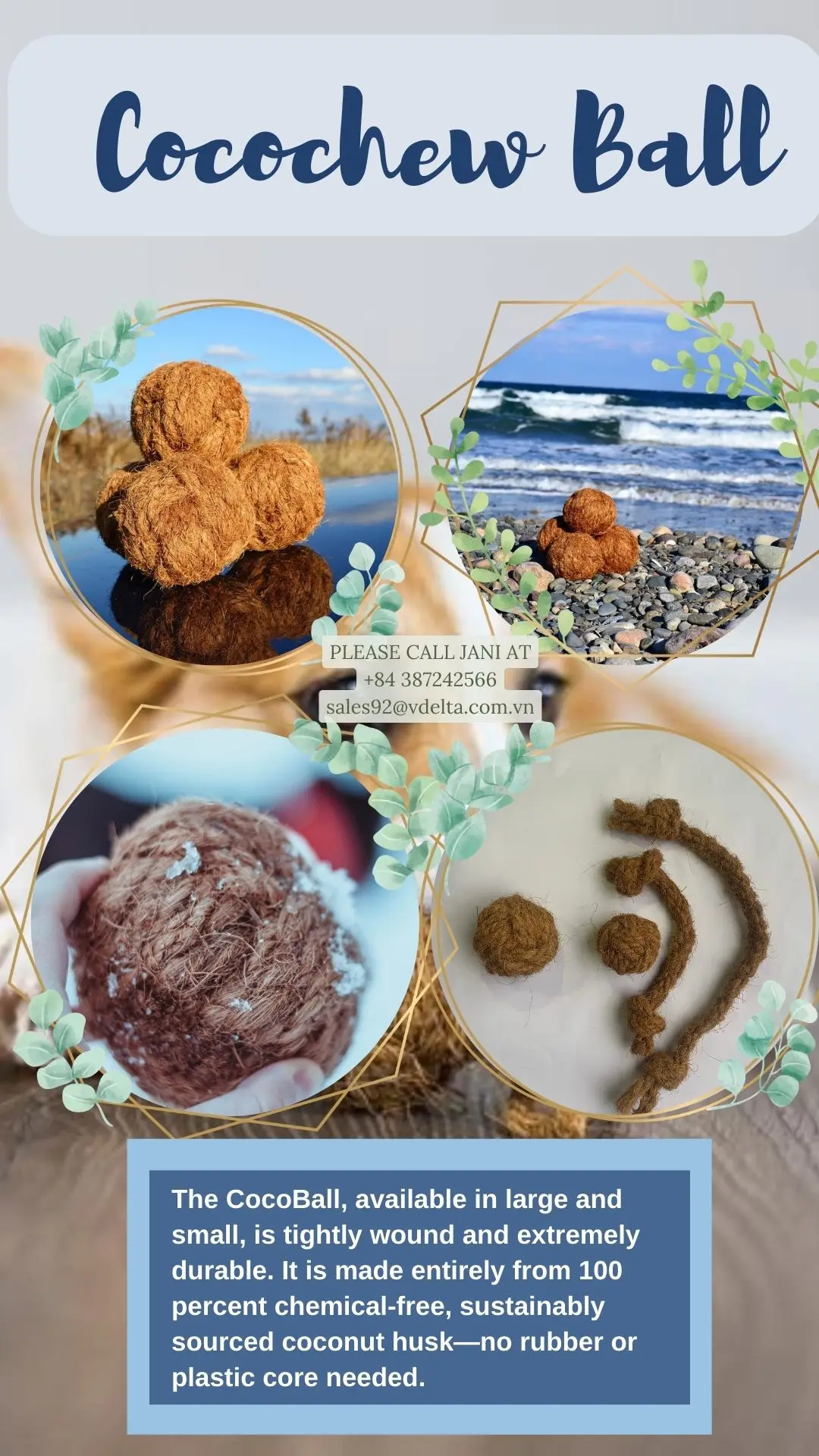 The Best Toy For Your Pet/ Natural Coco Chew Rope & Ball Toy (whatsapp