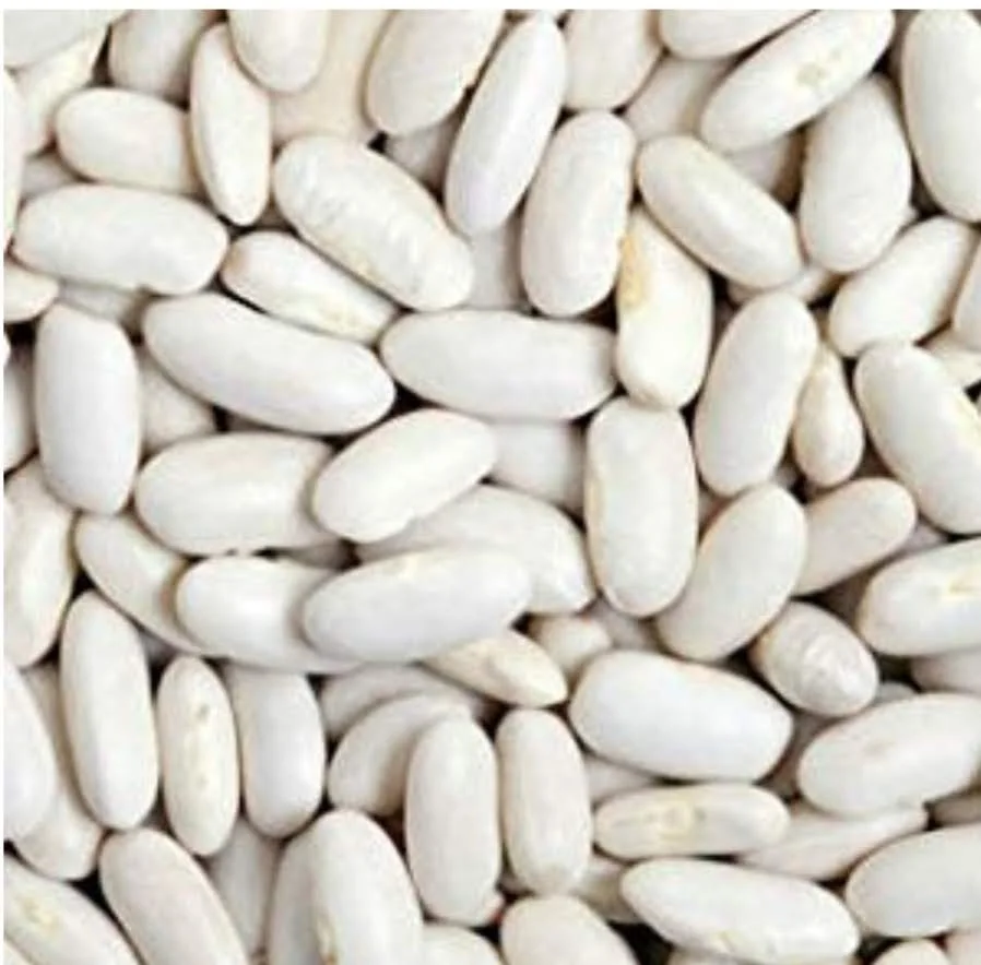 
White Beans -BEST QUALITY, BEST PRICES (SPICES LAND FOR EXPORT) 